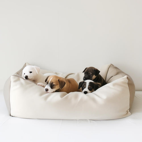 Din Katt & Hund Shop